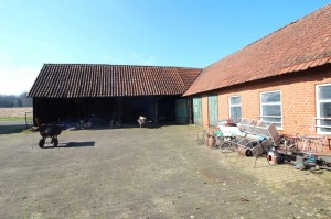 1c383cd30b.jpg